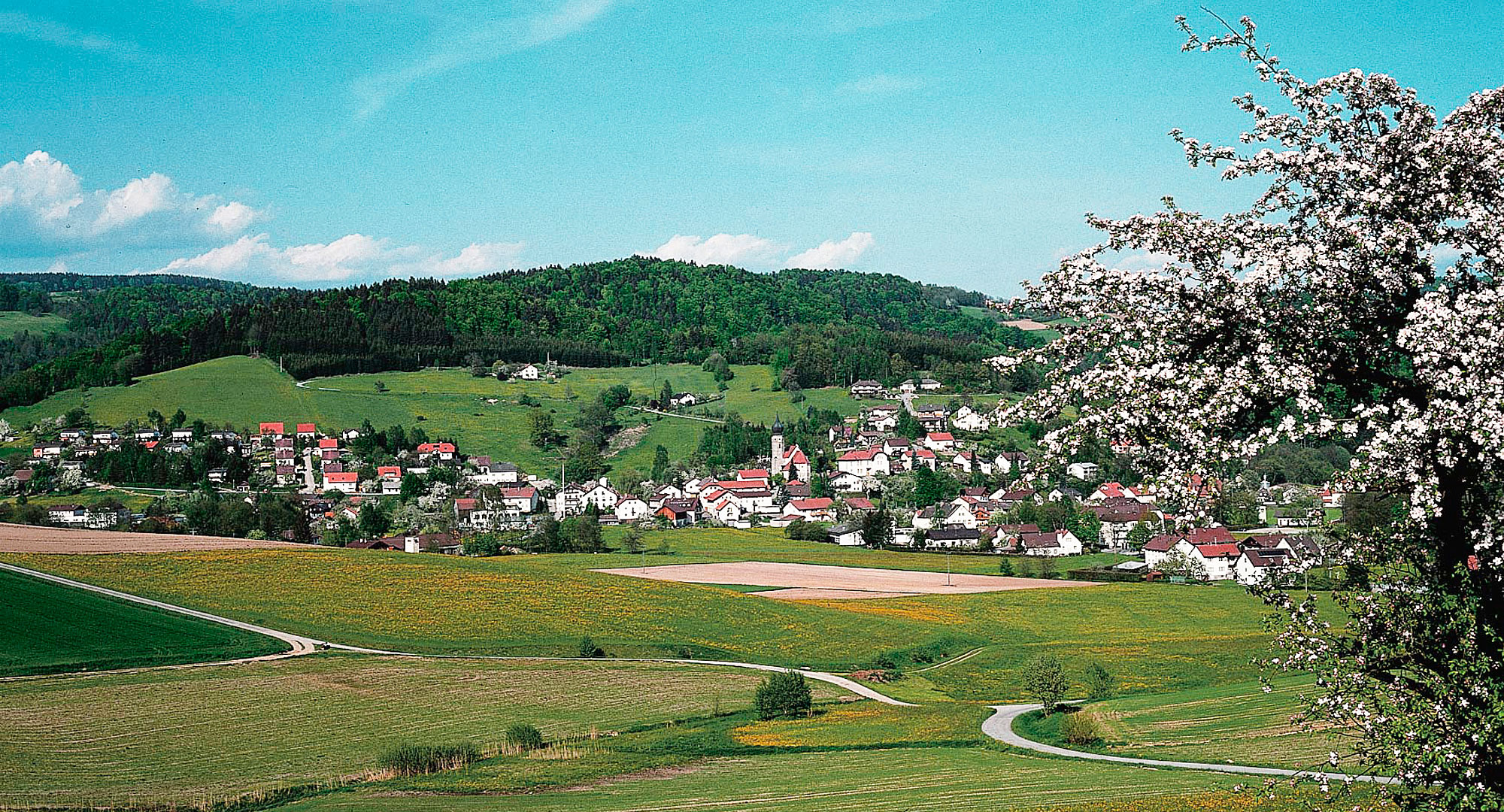 Urlaub in Ringelai im Bayerischen Wald